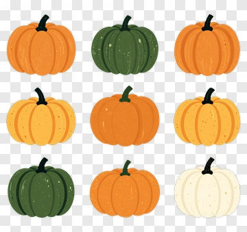 Colorful Pumpkin Collection PNG