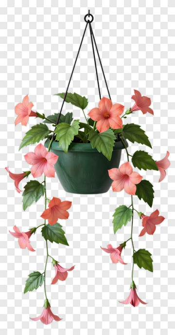 Hanging Flower Pot With Pink Flowers PNG