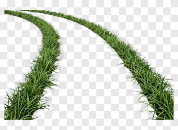 Curved Grass Path PNG