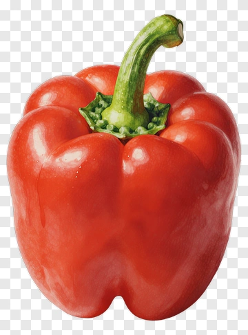 Red Bell Pepper PNG
