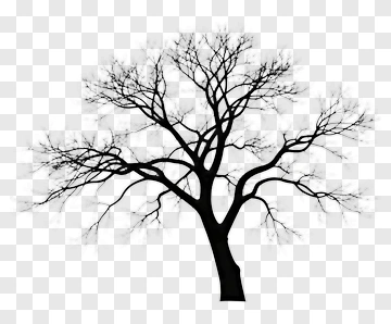 Silhouette Tree With Bare Branches PNG