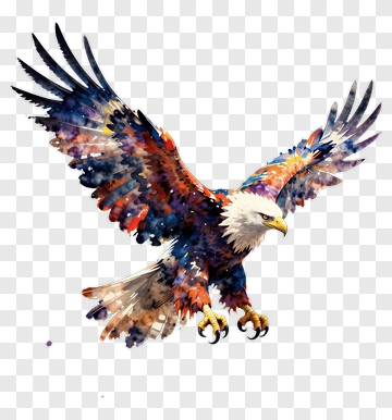 Colorful Eagle In Flight PNG