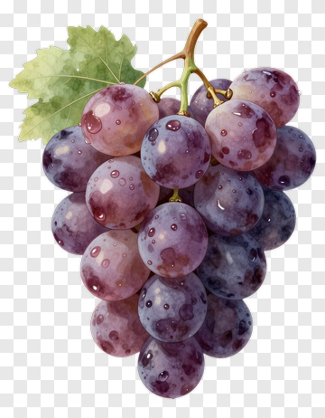 Realistic Grapes With Water Droplets PNG