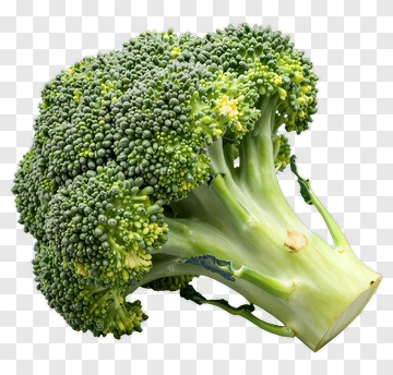 Fresh Broccoli PNG