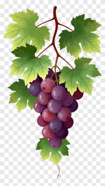 Cartoon Grapes With Green Leaves PNG