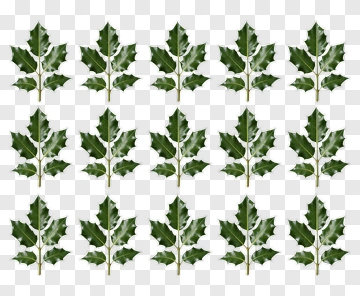 Collection Of Green Leaves PNG