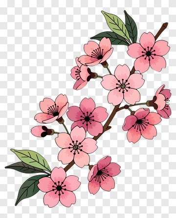 Colorful Cherry Blossom Branch PNG