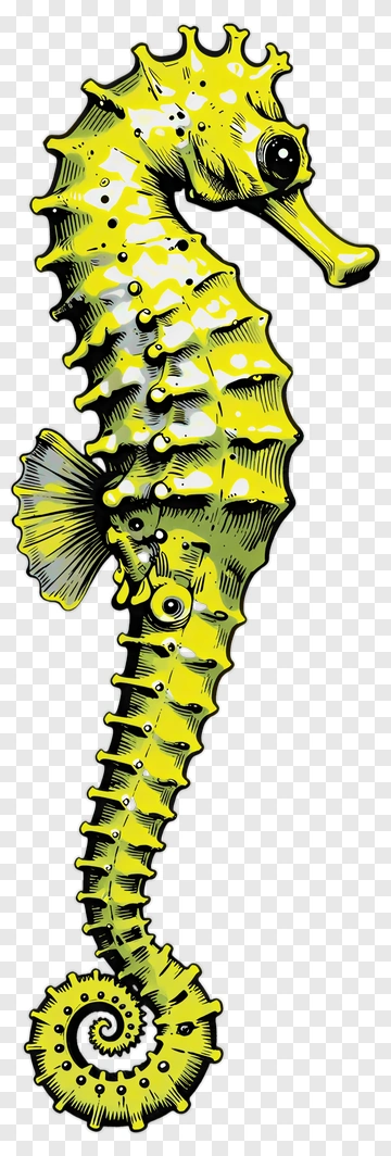 Cartoon Yellow Seahorse PNG