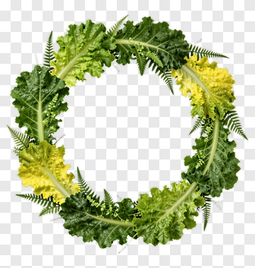 Leaf Wreath PNG