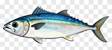 Colorful Cartoon Fish PNG