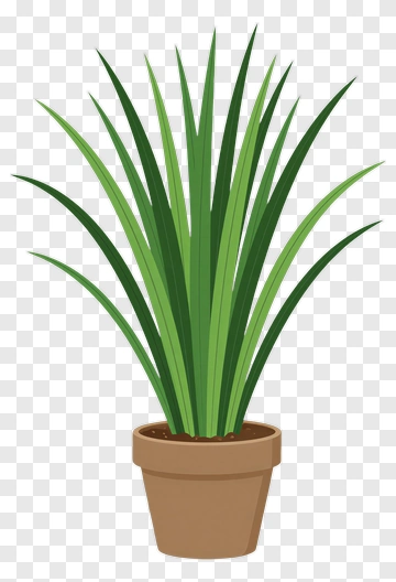 Potted Green Plant PNG