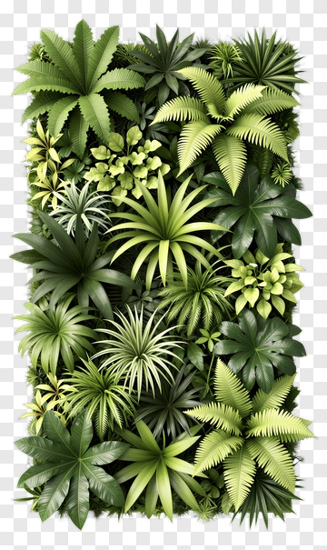 Lush Green Tropical Plants Background PNG