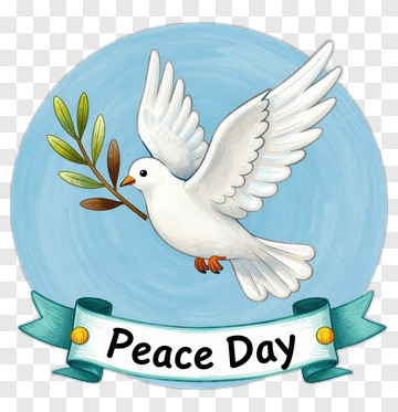 Dove Holding Olive Branch For Peace Day PNG
