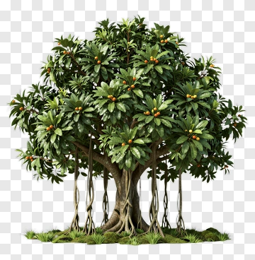 Felt Tree With Oranges PNG