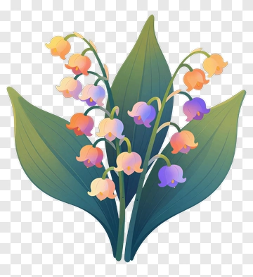 Colorful Lily Of The Valley Flower Bouquet PNG
