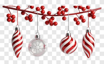 Christmas Ornaments Hanging On A Branch PNG