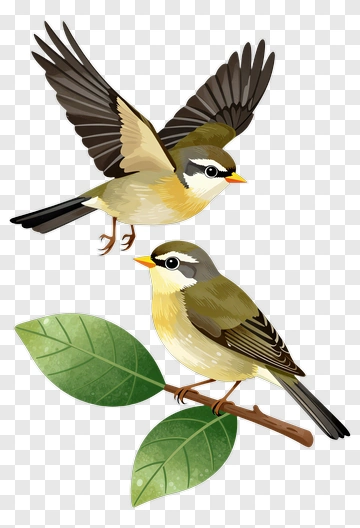 Birds Sitting On Leaves PNG