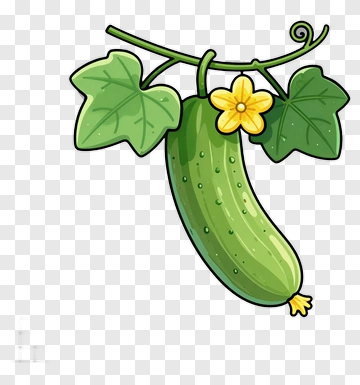 Cartoon Cucumber With Leaves And Flower PNG