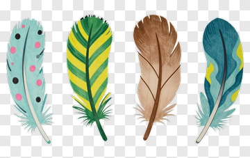 Colorful Feathers PNG
