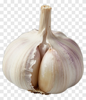 Garlic Bulb PNG