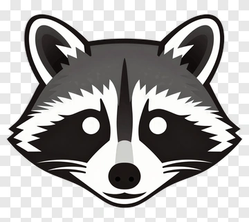 Cartoon Raccoon Face PNG