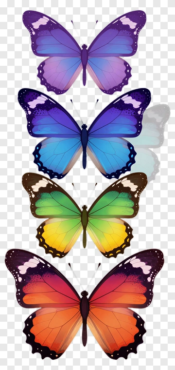 Colorful Butterflies With Gradient Wings PNG