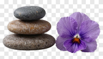 Stack Of Stones With A Purple Flower PNG