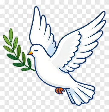Dove Holding An Olive Branch PNG