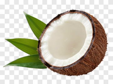 Coconut Half With Green Leaves PNG