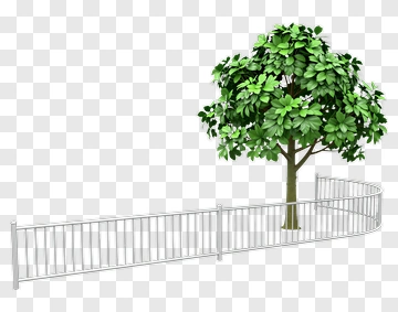 Tree With White Fence PNG