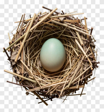 Bird's Nest With Egg PNG