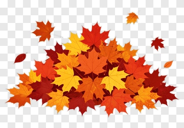 Colorful Autumn Leaves PNG