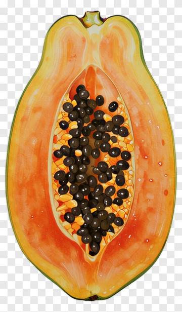 Papaya Fruit Slice PNG