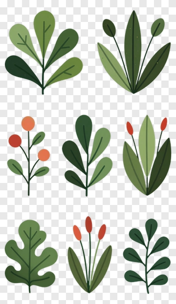 Colorful Plant Illustrations PNG