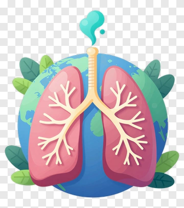 Lungs Integrated With Earth PNG