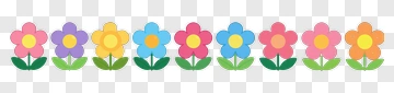 Colorful Flower Border PNG