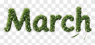 Green Grass March Text PNG