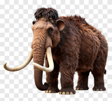 3D Mammoth With Fur And Tusks PNG