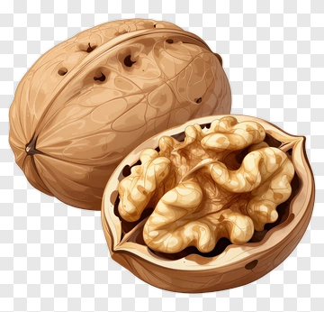 Walnut Halved With Shell PNG