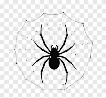 Black Spider On A Web PNG