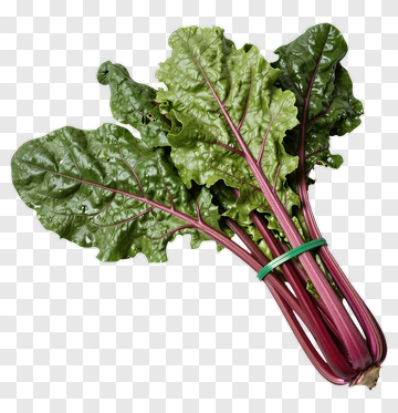Fresh Swiss Chard Bunch PNG