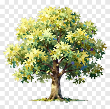 Watercolor Tree With Green Leaves PNG