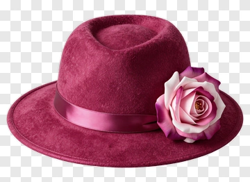 Pink Felt Hat With Flower Decoration PNG