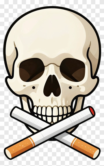 Skull And Crossed Cigarettes Illustration PNG