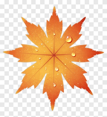 Orange Maple Leaf With Water Droplets PNG