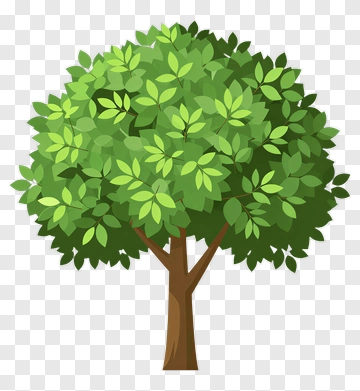 Colorful Tree PNG