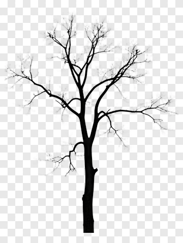 Silhouette Tree PNG