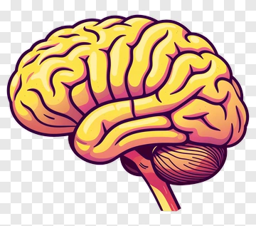 Cartoon Brain Illustration PNG