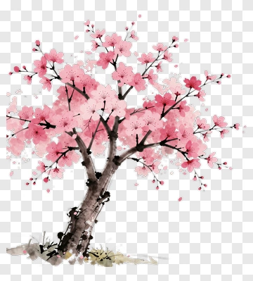 Pink Cherry Blossom Tree PNG