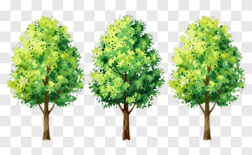 Colorful Trees In A Natural Setting PNG